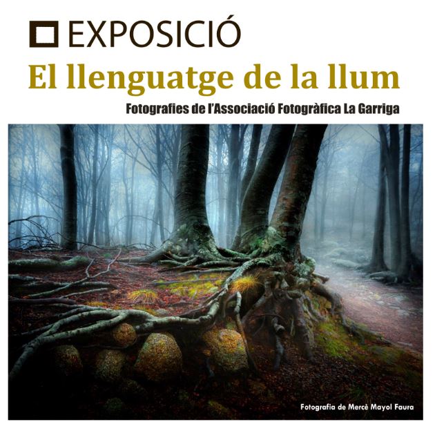 "El llenguatge de la llum" de l'Associació Fotogràfica La Garriga