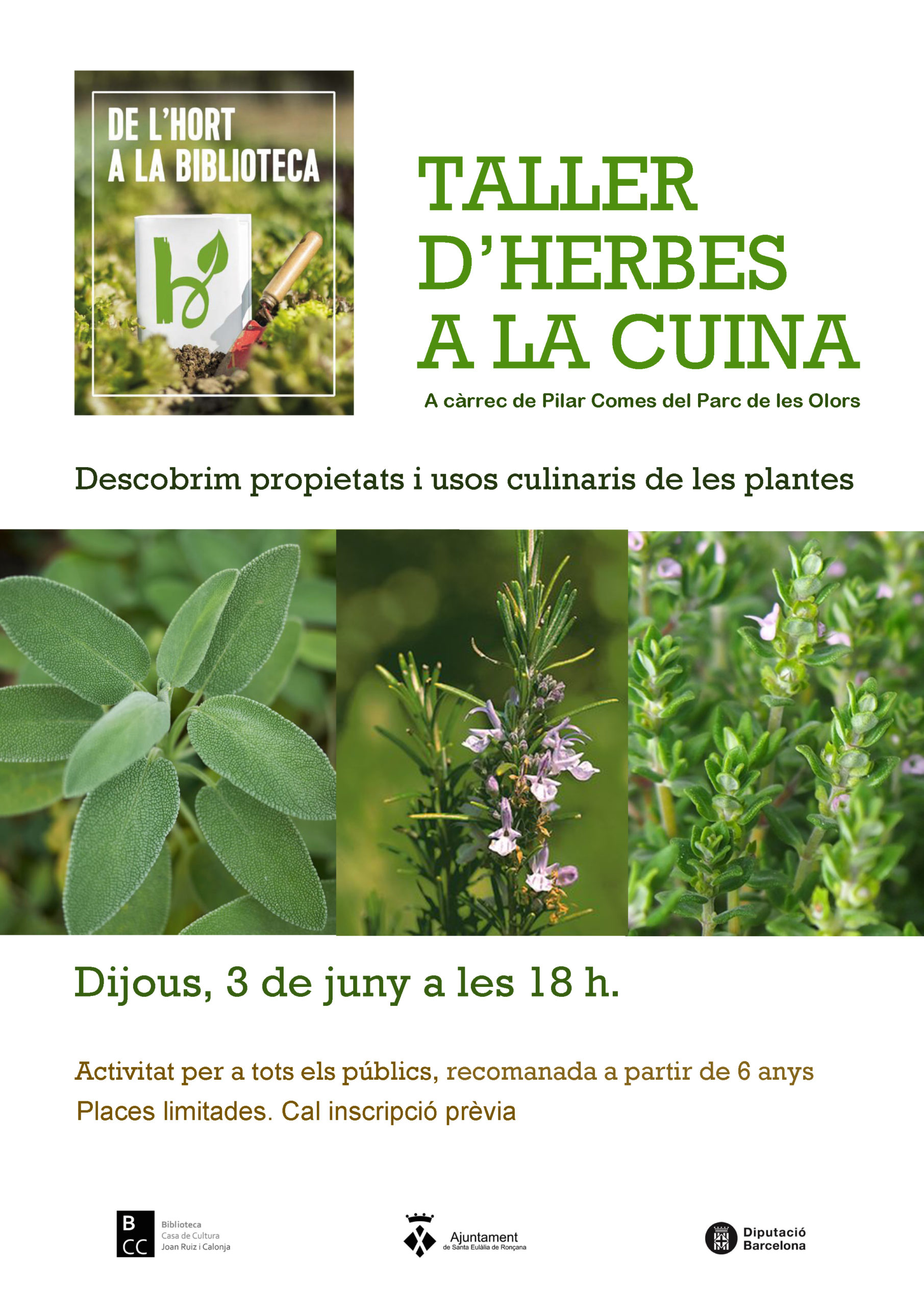 "Taller d’herbes a la cuina" a càrrec de Pilar Comes del Parc de les Olors